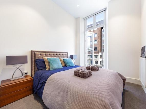 ロンドンHarley Street Luxury Snugアパートメント エクステリア 写真