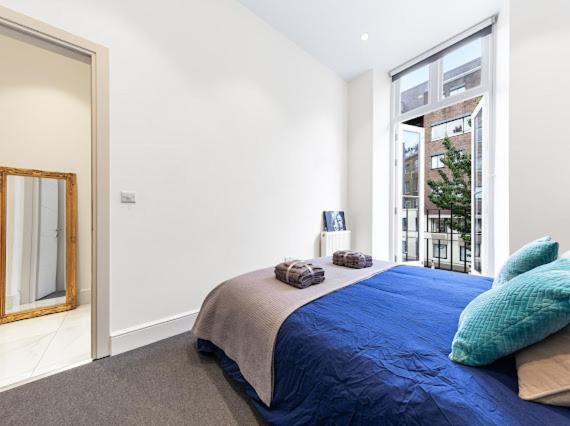 ロンドンHarley Street Luxury Snugアパートメント エクステリア 写真